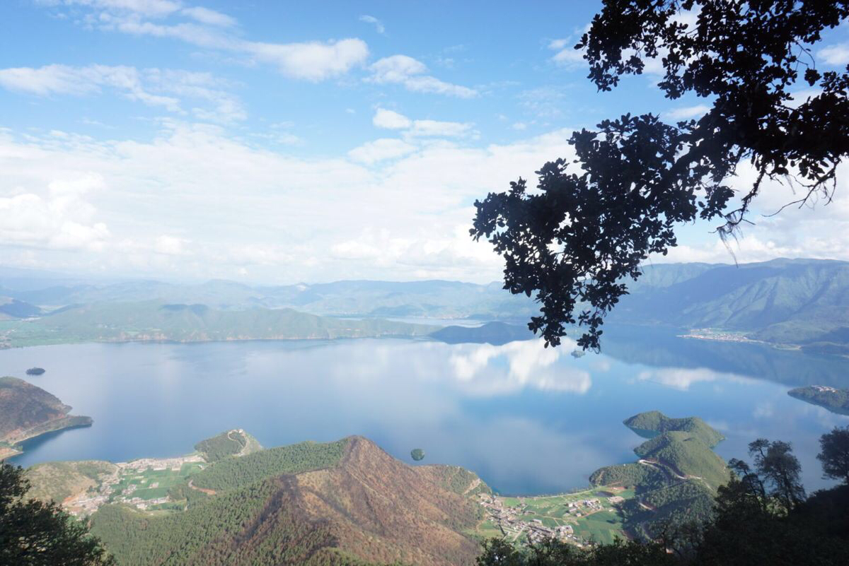 彼岸游境_彼岸境游秘印_彼岸境游双刀特点