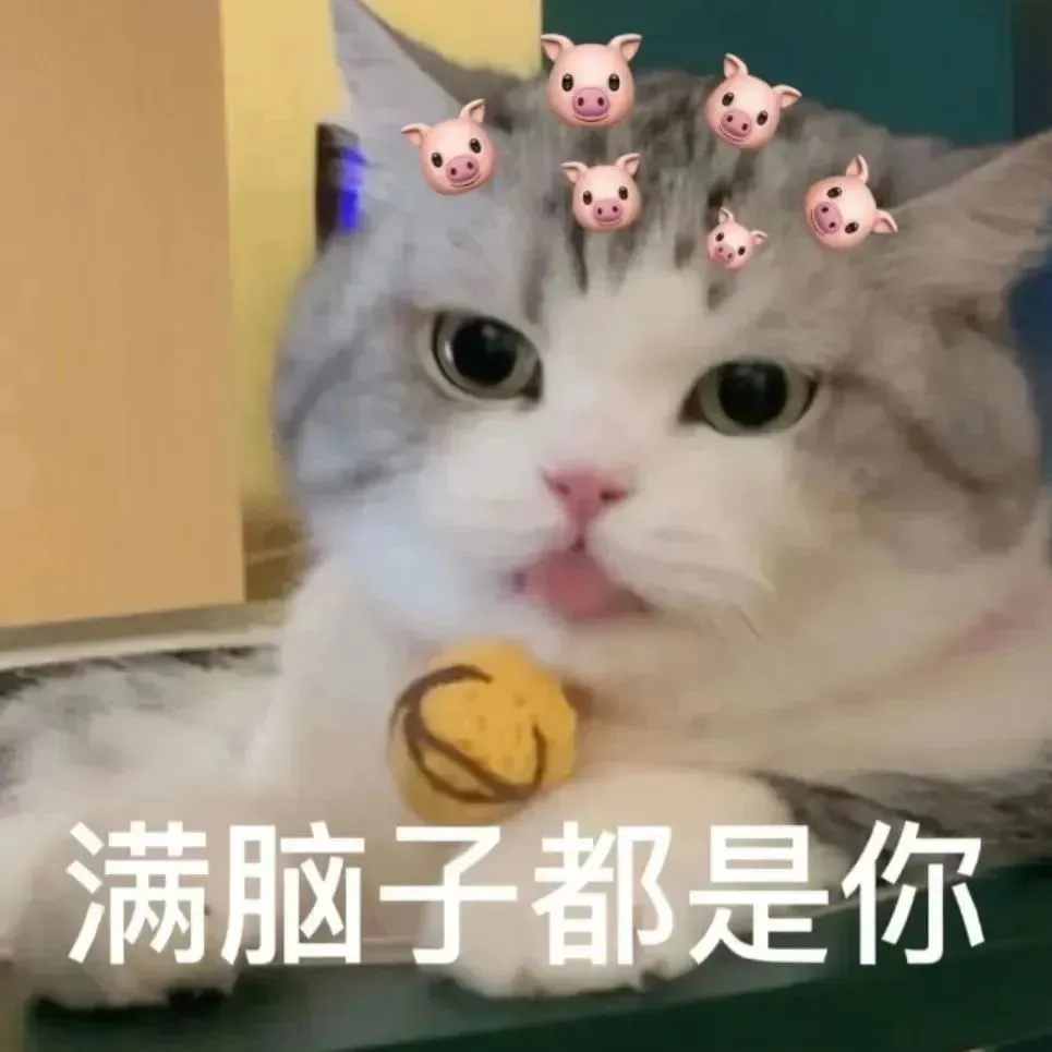 表情包收手吧阿祖_表情包收手吧_收手吧阿祖表情包
