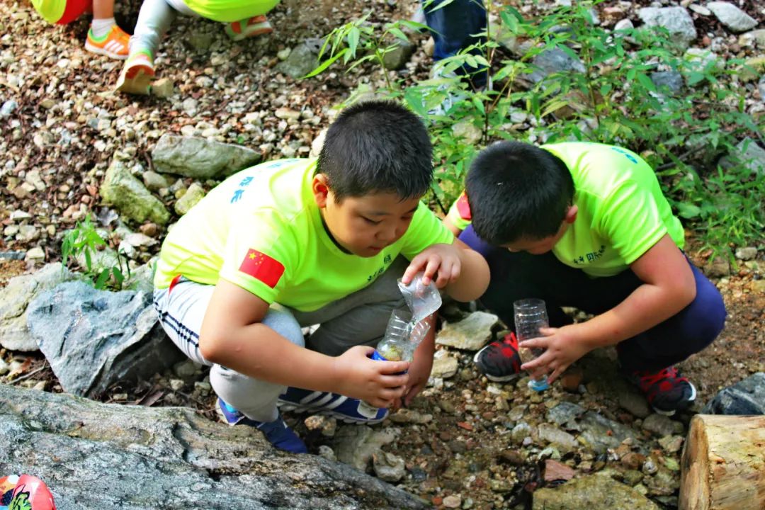 生存者游戏_幸存者生存游戏_生存者的游戏