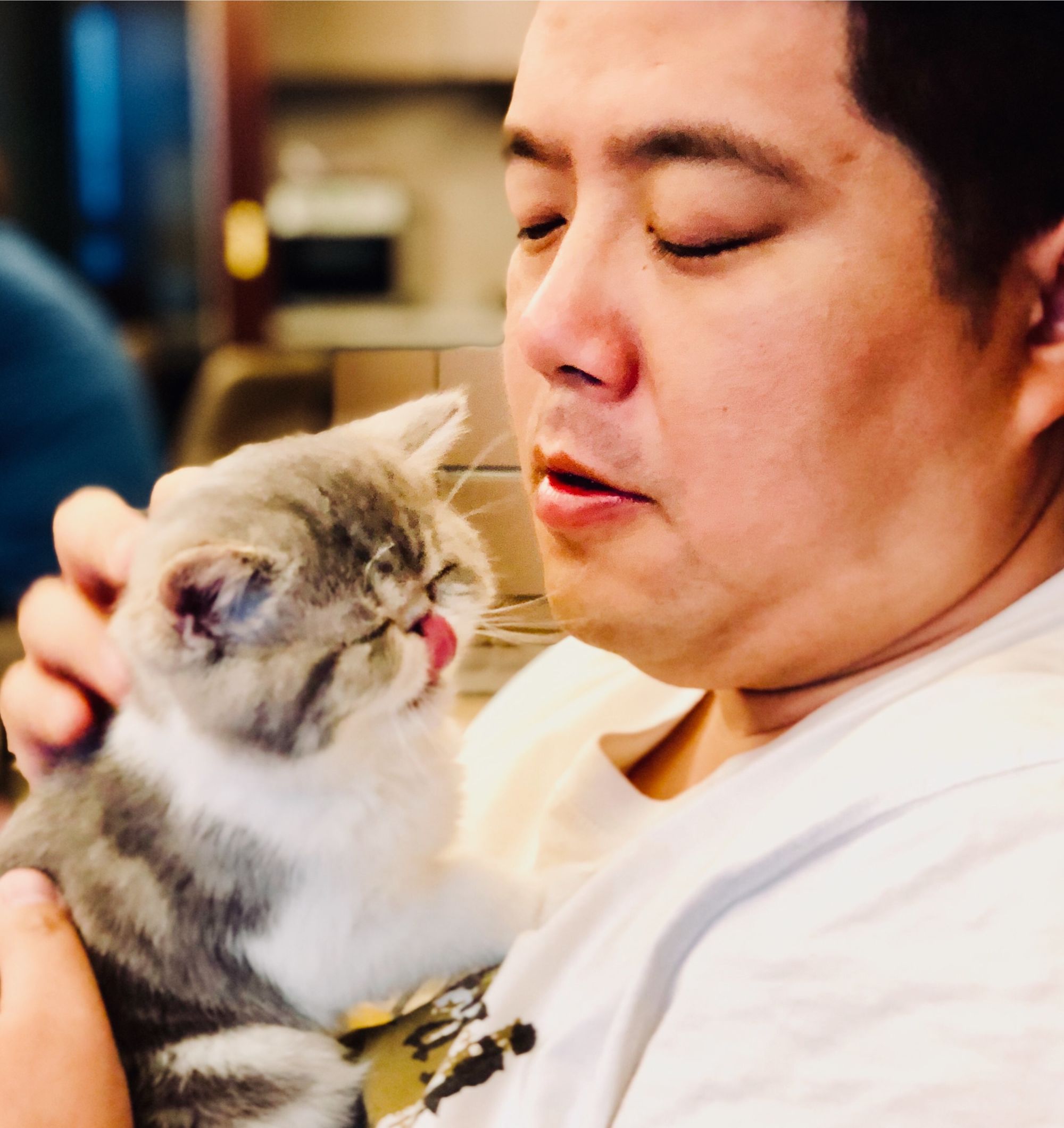 猫驯服历史_猫驯服人类_我的世界怎么驯服猫