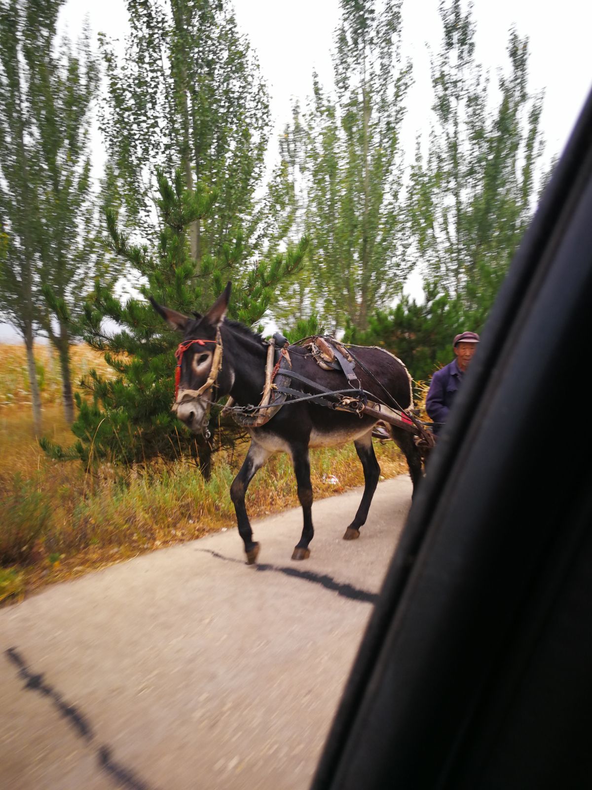 驴迹_驴迹科技股票_驴迹科技