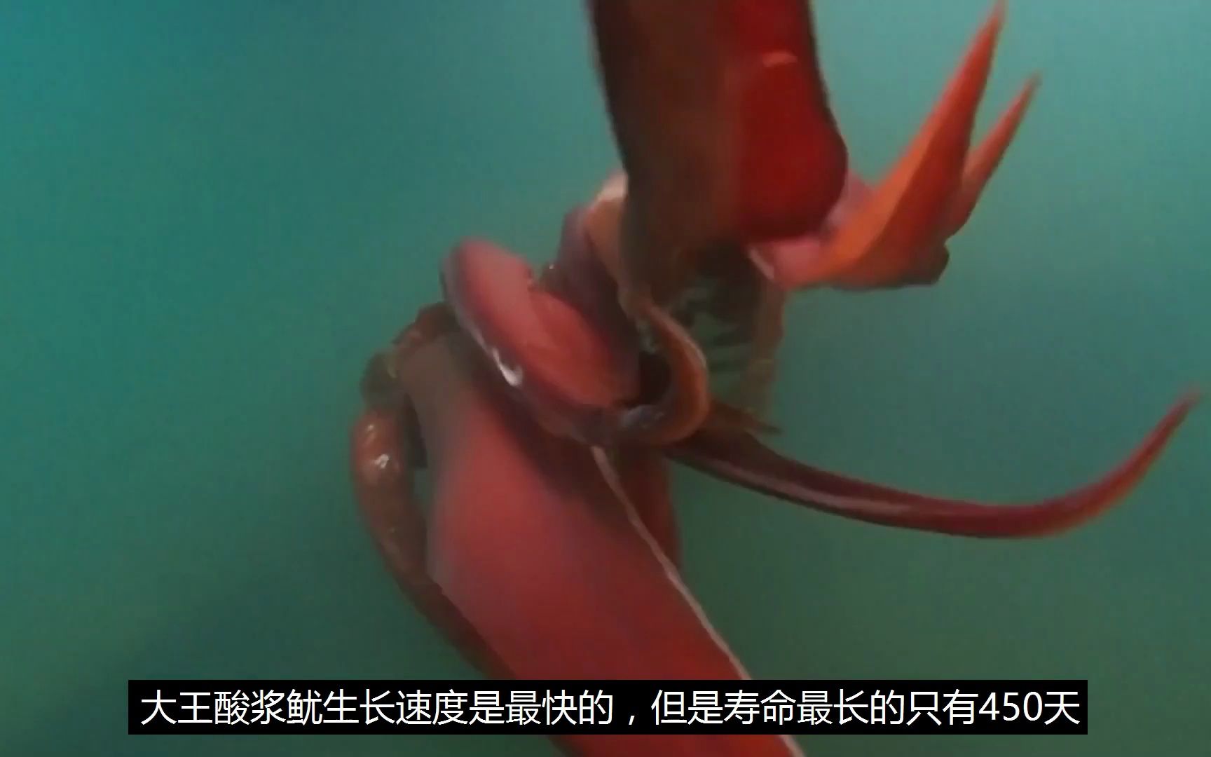 墨鱼旅行_墨鱼旅游公司_墨鱼旅行怎么样
