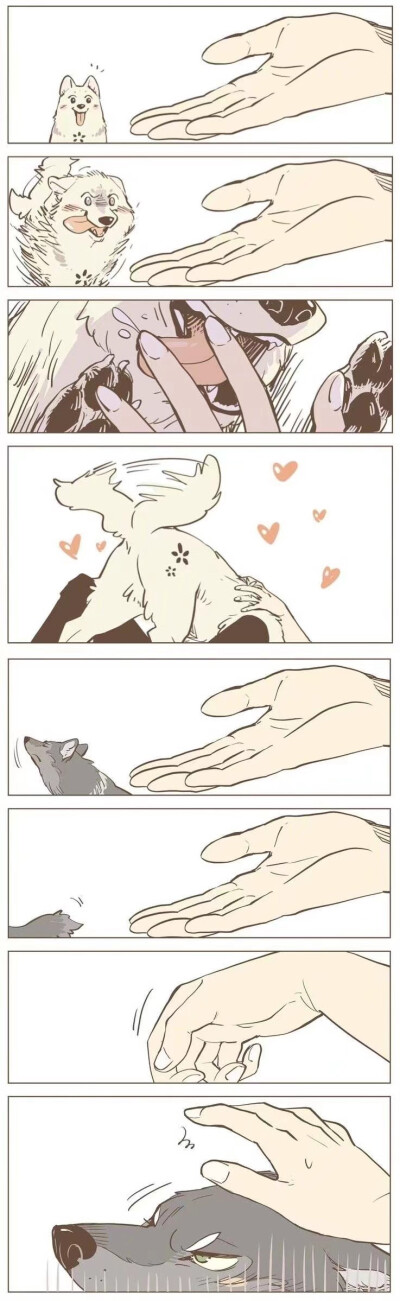 次元狗：个性与自由的魅力