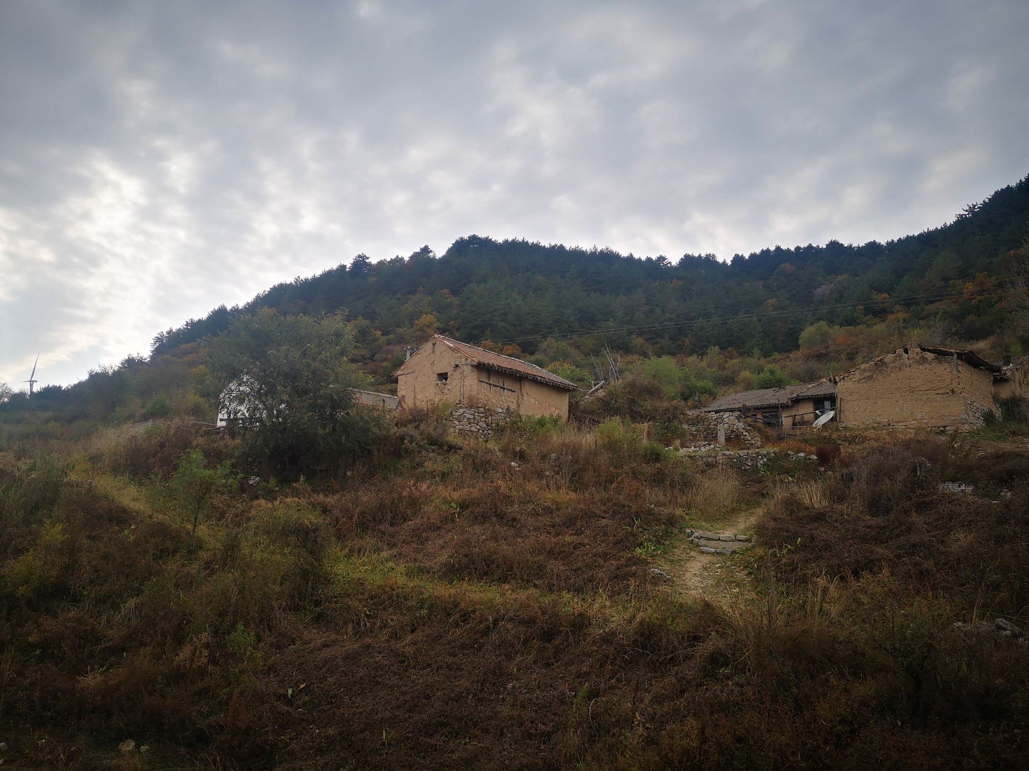 刘看山_刘看山图片_刘看山公仔