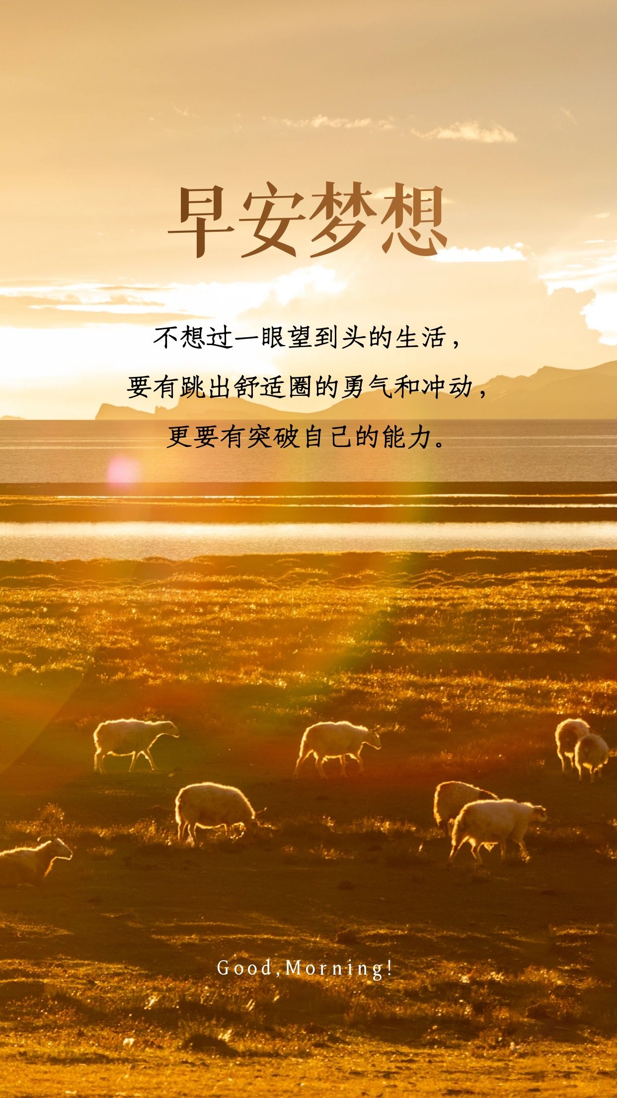 信女小说_信女是什么意思_信女