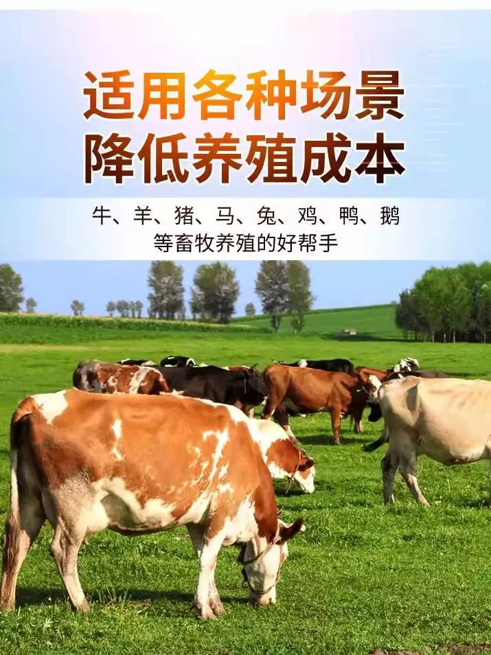 黄油手游_手机qq家园游戏_手机家园黄油游戏