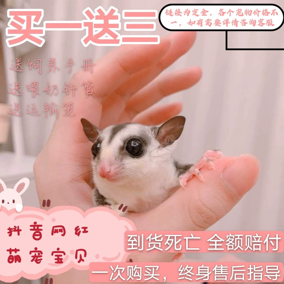 手机版最简单的生存游戏_生存游戏手机版大全_生存简单版手机游戏破解版