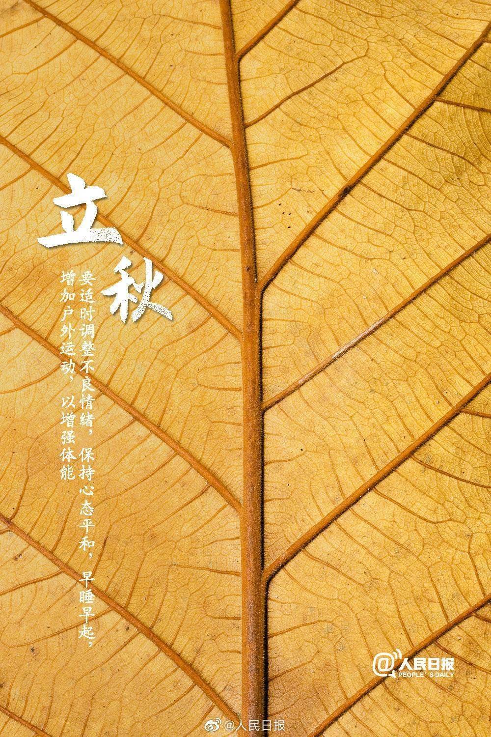 立秋歌曲_立秋_立秋海报