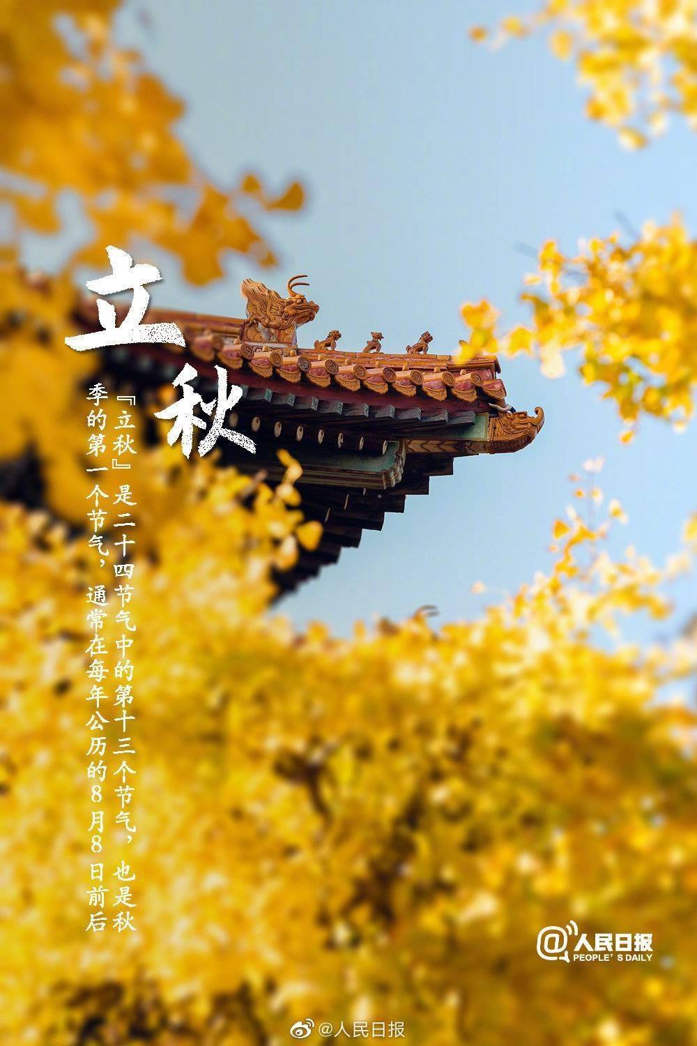 立秋_立秋歌曲_立秋海报