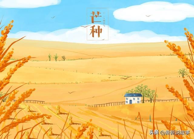 三伏如何调理身体_三伏天要怎么调理身体_怎么利用三伏天调理身体