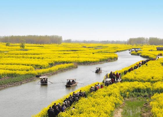 手机里的野外求生游戏视频-手机野外求生游戏视频：真实体验，学习野外生存技能